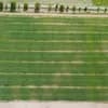 Luftaufnahme des Agroforstsystems – Mai 2026