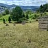 Wertholzwiese im Mai 2026, Beweidung mit Rindern (Angus) durch Pächter